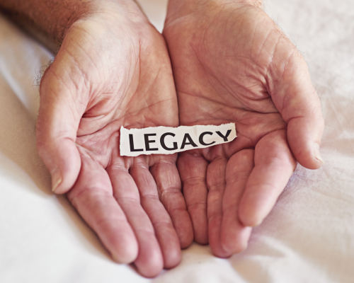 untitled-design-9-m5K8yn2M66SG7eMk